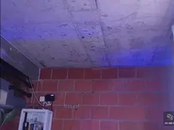 Amateur Adult Webcam of taniaqueen19