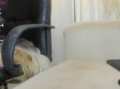 Amateur Free Live Porn of luci1f