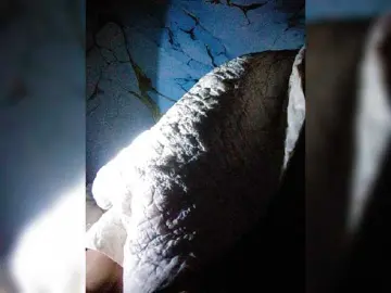 Bongacams Live Sex Cam of XXhornywetprincess99XX