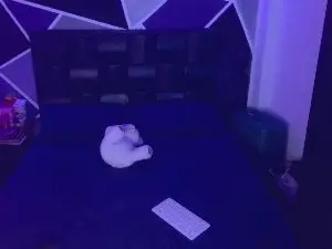 Cam4 Live Sex Cam of jazminslut