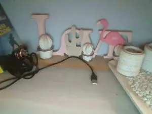 Cam4 Adult Webcam of TettonaPelosa