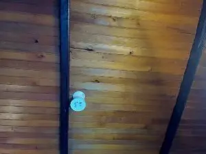 Cam4 Sex Cam of EmiliWilliams