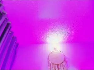 Cam4 Nude Webcam of Denin_rose