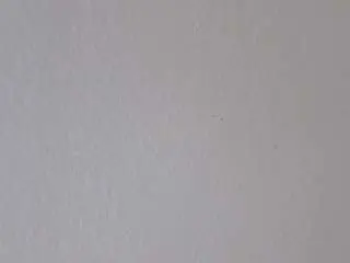 Camsoda Adult Webcam of tania44b
