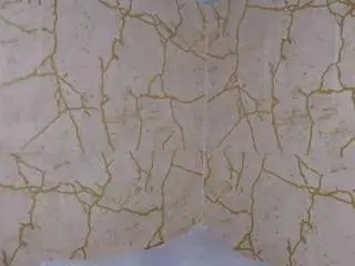 Camsoda Sex Cam of redbonelolly