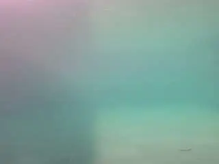 Camsoda Free Porn Cam of voyeurcam-casa-salsa-pool-1