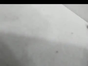 Chaturbate Watch Live Sex Cams of sophia_fox420