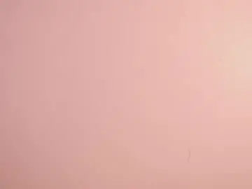 Chaturbate Sex Chat of sunny_flower_
