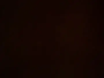 Chaturbate Live Sex of erixed