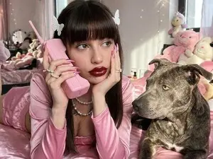 Myfreecams Adult Webcams of annisefoxy