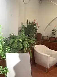 Stripchat Best live sex cam show of SOFTBERRY_