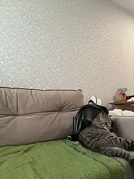 Stripchat Best live sex cam show of RinaCat