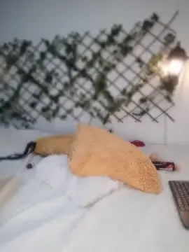 Stripchat Adult Webcam of Lubnna